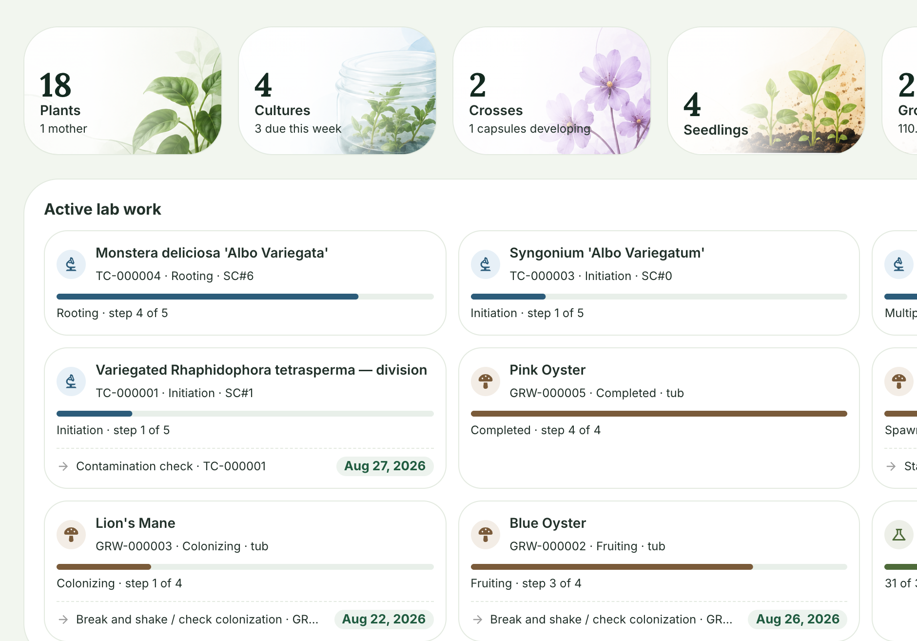 The Plantistry dashboard