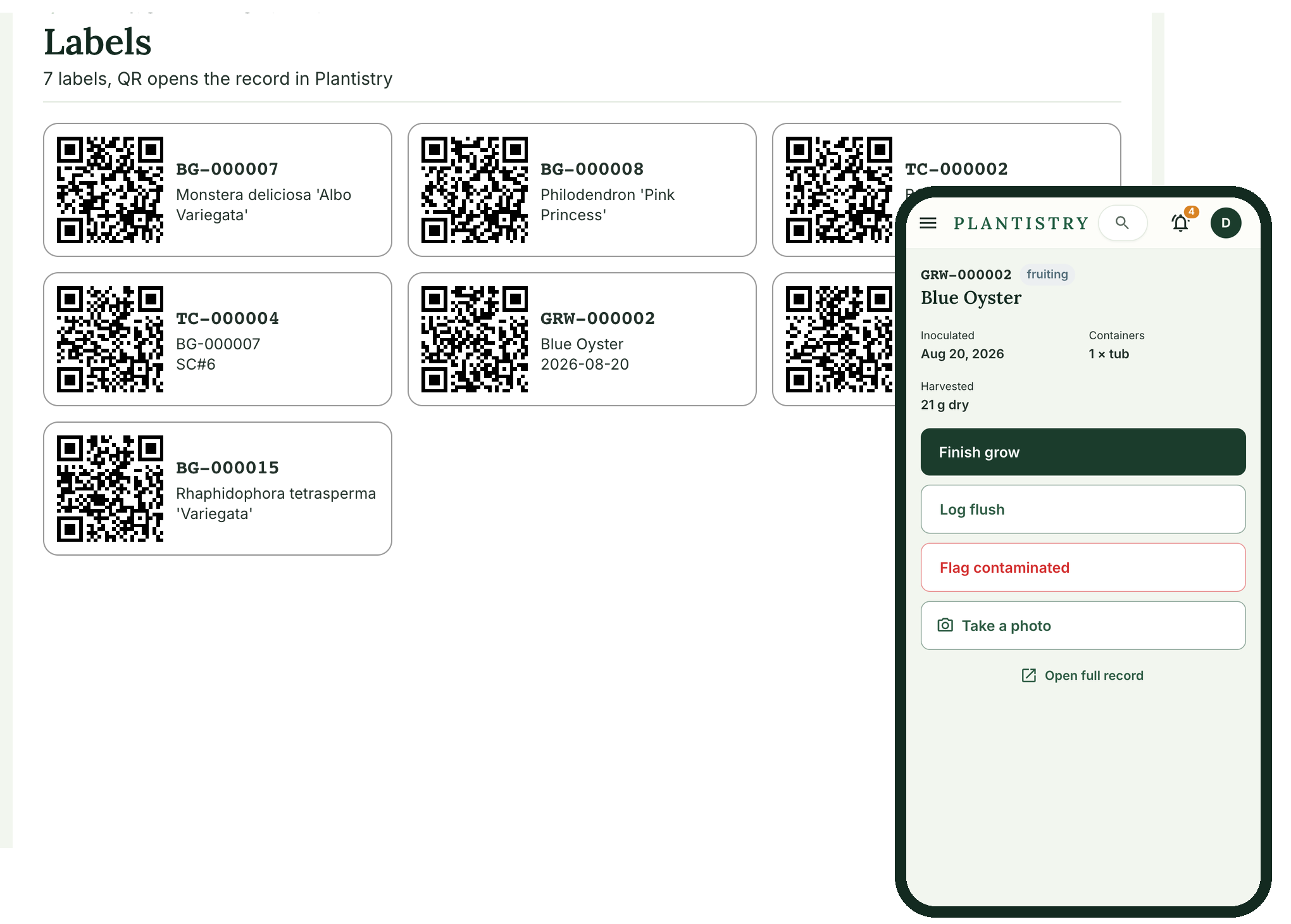 QR label sheet and the phone view a scan opens