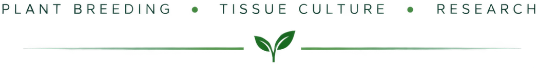 Plant breeding · Tissue culture · Research